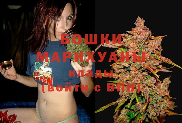 молекула духа Богородск