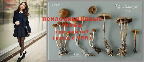 молекула духа Богородск