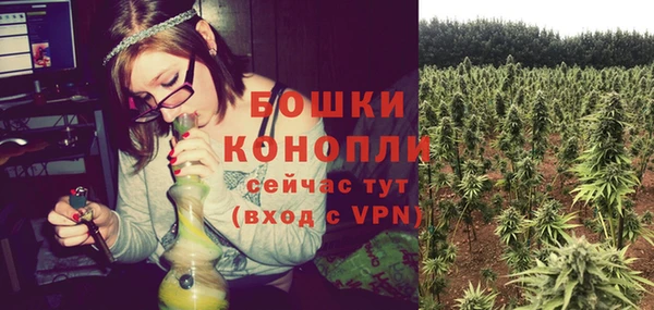 прущий лед Богородицк