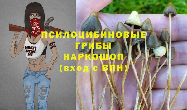 молекула духа Богородск