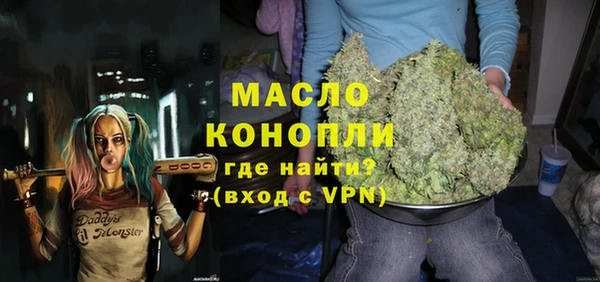 молекула духа Богородск