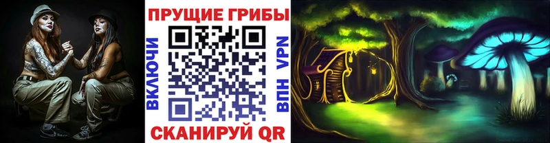 Галлюциногенные грибы Psilocybine cubensis  Красноперекопск 